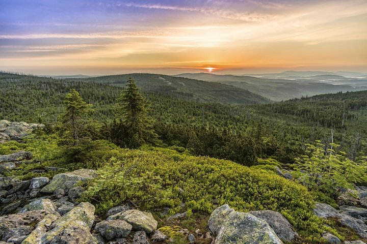 Explore the stunning vistas of Bohemian Switzerland where the lush forests and dramatic rock formations set the stage for unforgettable moments inspired by Carnival Row's journey.